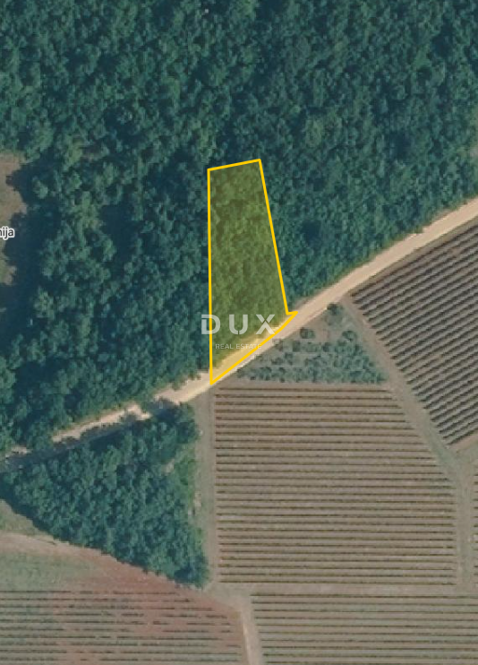 ISTRA, VIŠNJAN - Kmetijsko zemljišče