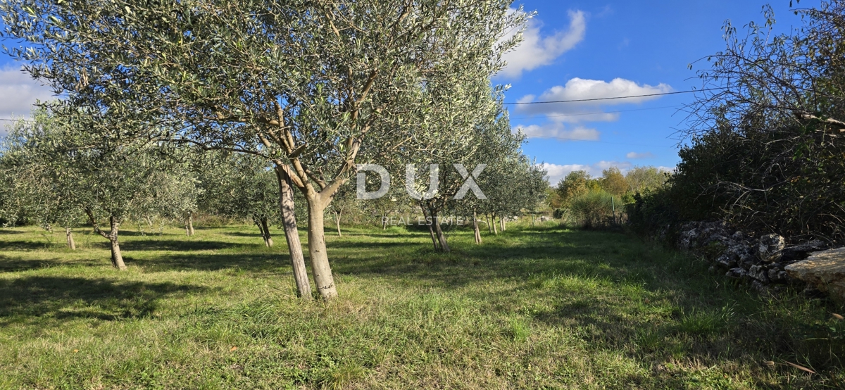 Zemljišče Poreč, 1.369m2