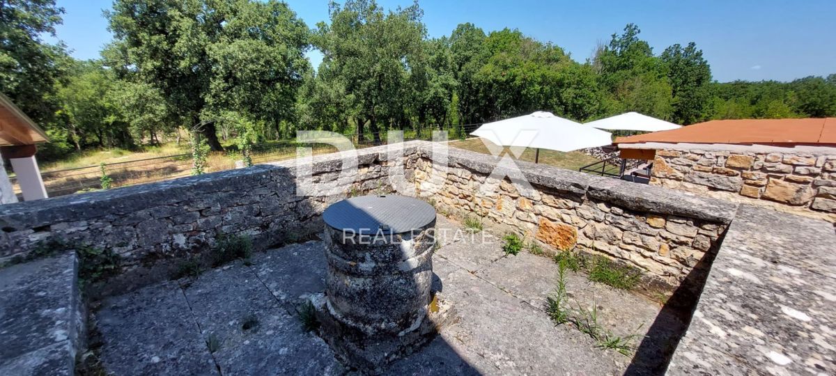 ISTRA, SVETI LOVREČ – Avtohtona kamnita vila z bazenom in 5000 m² zasebne posesti