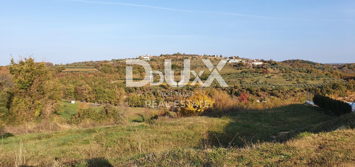 ISTRA, MOMJAN – Kamnite stavbe za prenovo z impresivnim razgledom