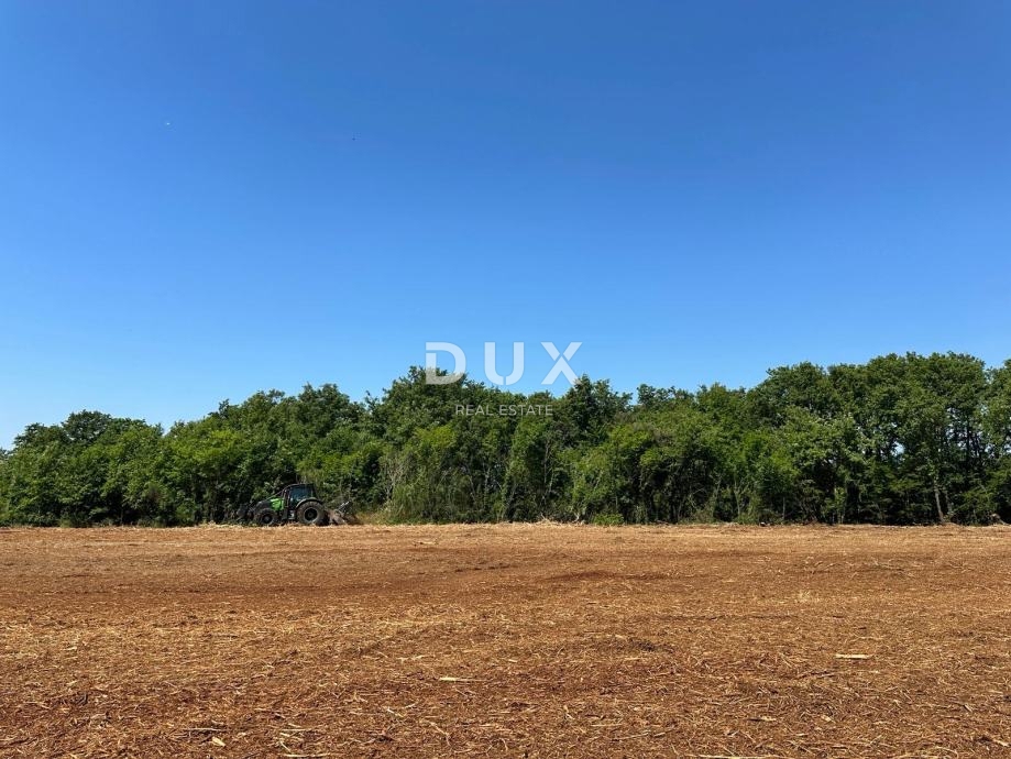 ISTRA, MUNTIĆ - Odlična priložnost!