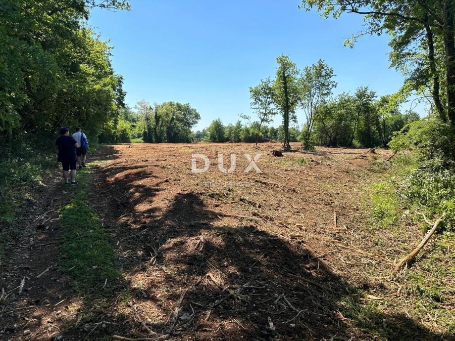 ISTRA, MUNTIĆ - Odlična priložnost!