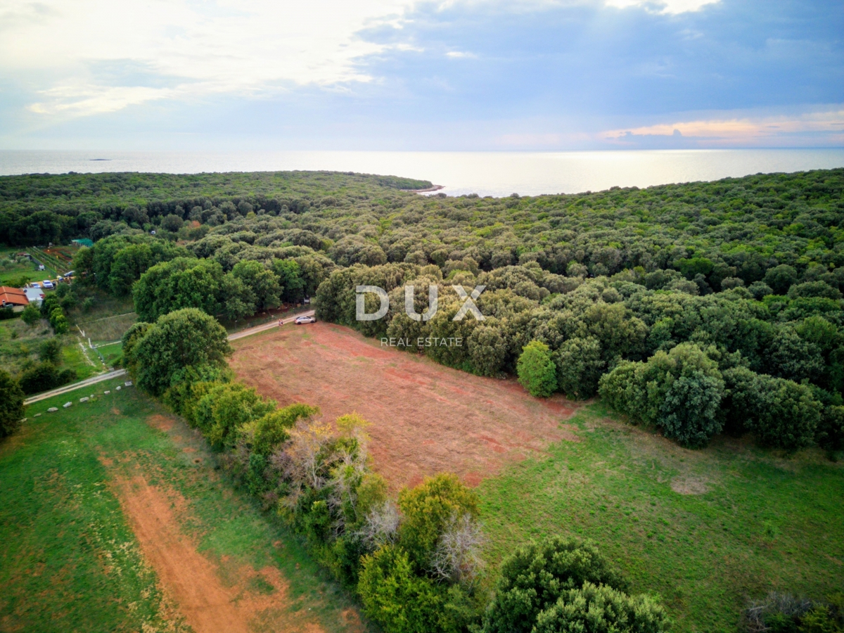 ISTRA, BALE - Kmetijska zemljišča v bližini morja