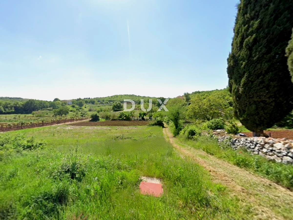 Zemljišče Motovun, 1.089m2