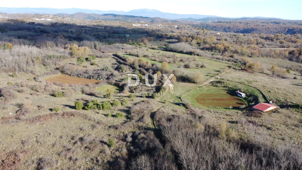 ISTRA, TRVIŽ - Odlična kmetijska priložnost