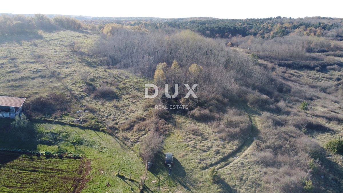 ISTRA, TRVIŽ - Odlična kmetijska priložnost