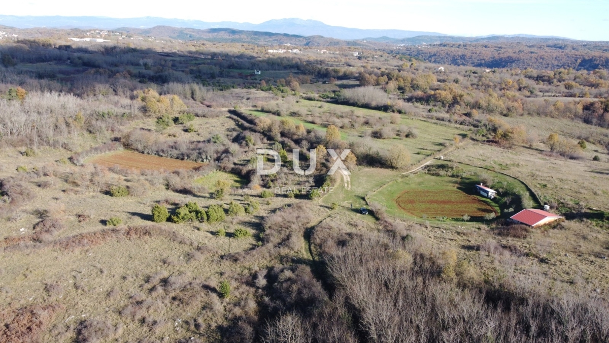 ISTRA, TRVIŽ - Odlična kmetijska priložnost