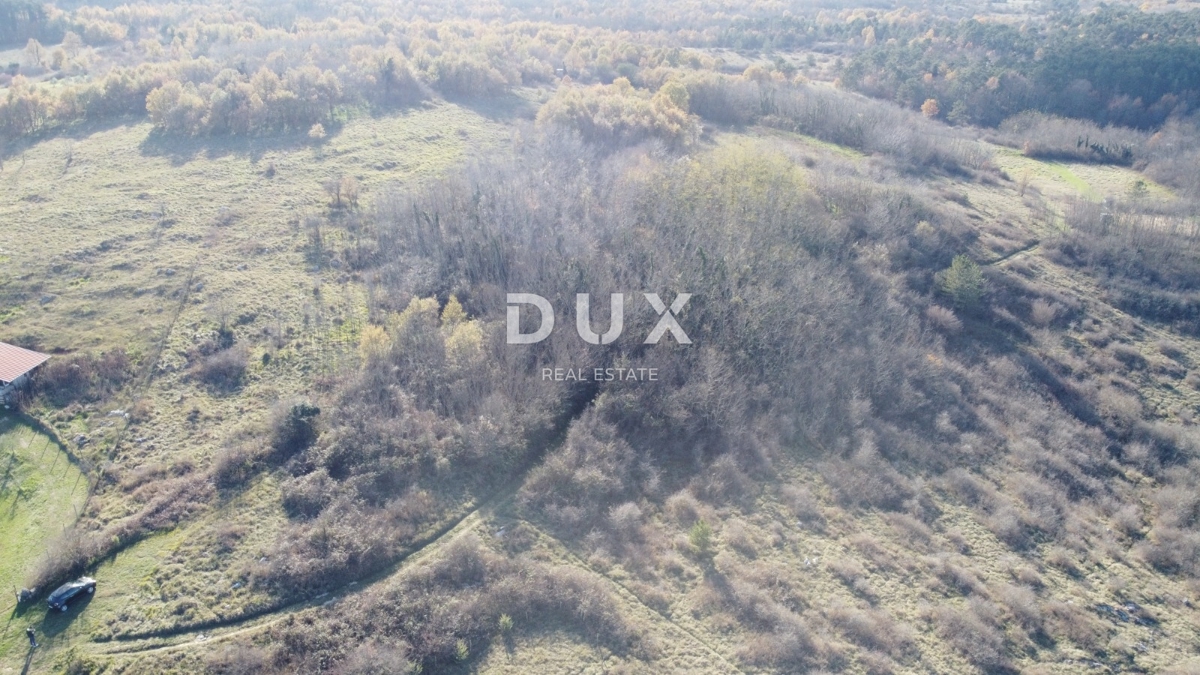 ISTRA, TRVIŽ - Odlična kmetijska priložnost