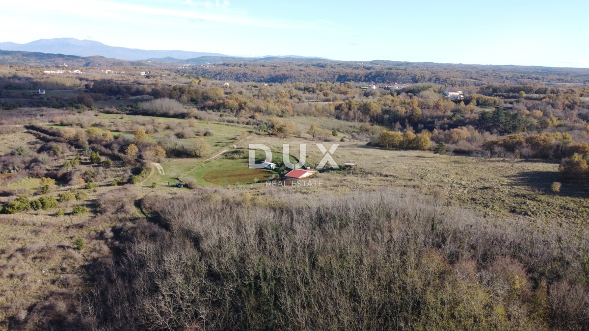 ISTRA, TRVIŽ - Odlična kmetijska priložnost