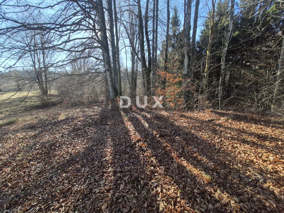 Zemljišče Fužine, 1.213m2