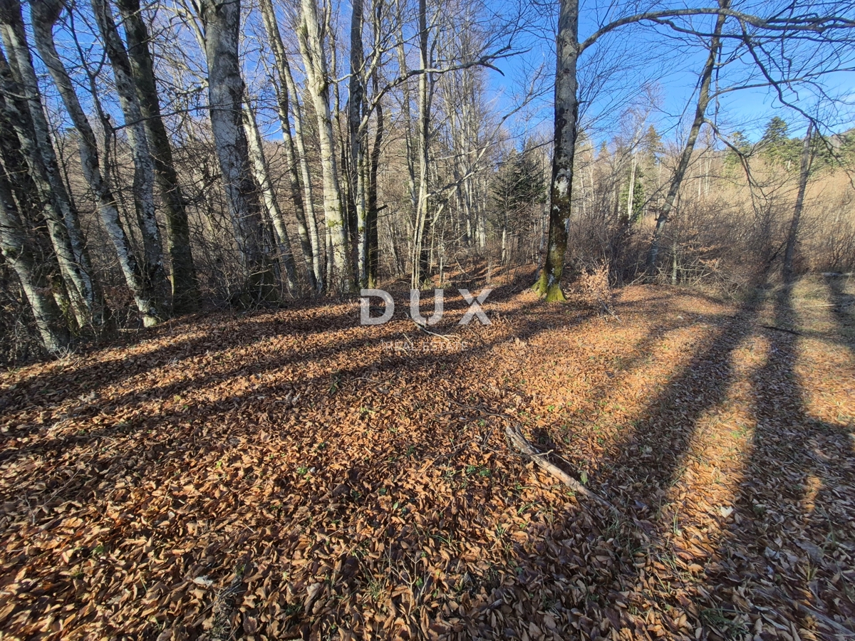 Zemljišče Fužine, 1.213m2