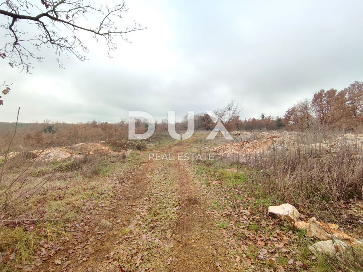 ISTRA, VODNJAN - Gradbeno zemljišče z izdanim gradbenim dovoljenjem