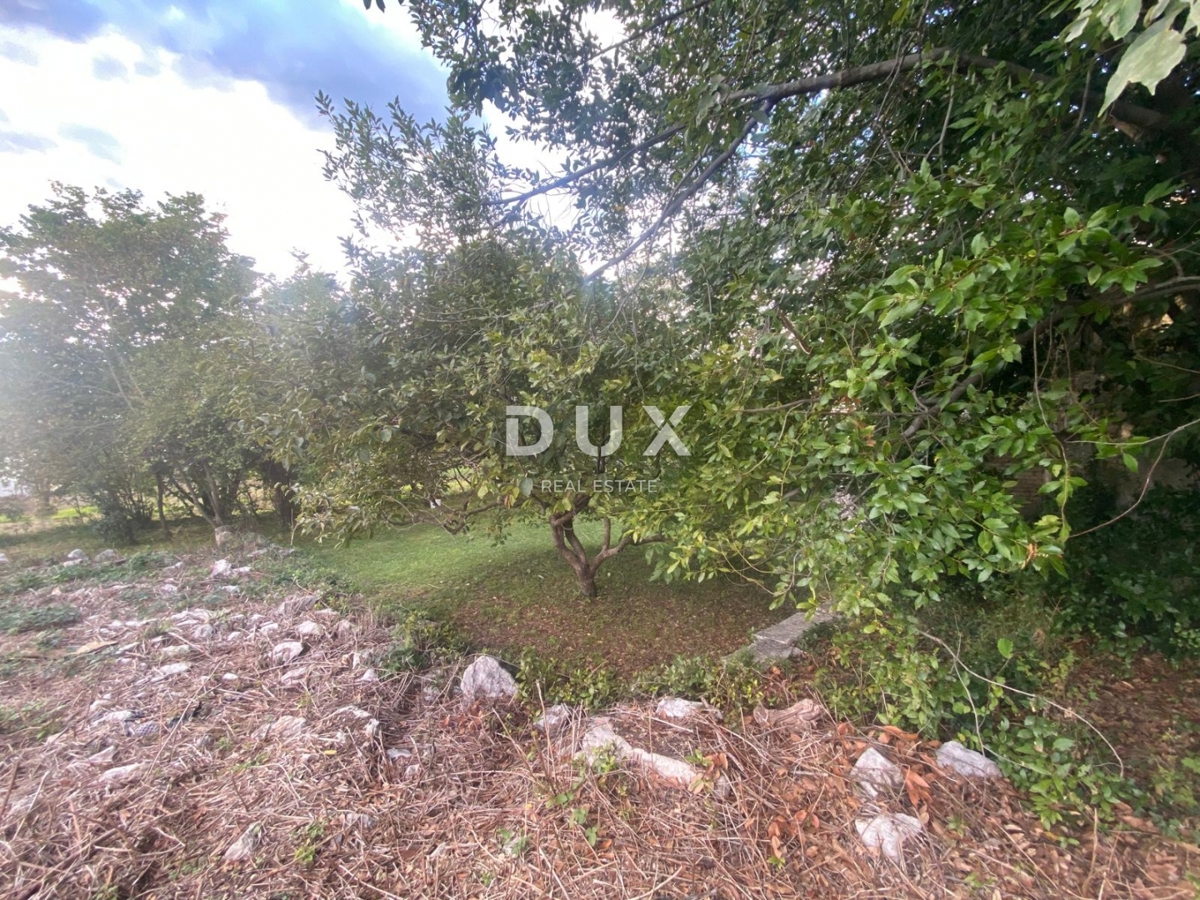 RIJEKA, KASTAV - samostojna hiša in dvoriščni objekt + 761 m2 vrta! PRILOŽNOST!