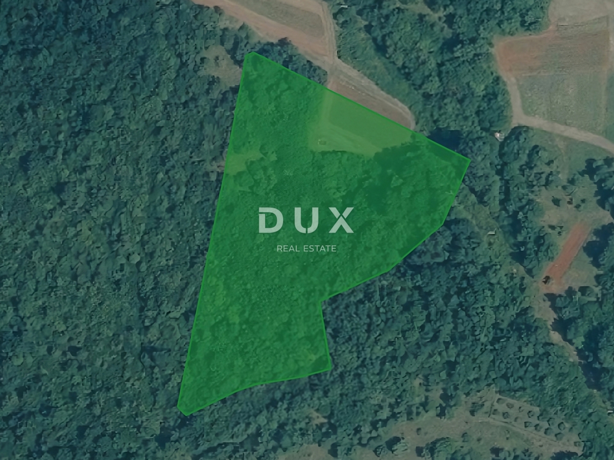 Zemljišče Višnjan, 12.200m2