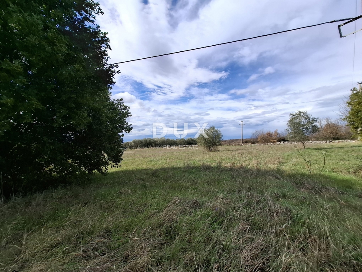 ISTRA, LOVREČ - Gradbeno zemljišče