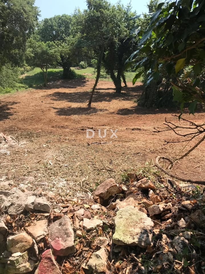 ISTRA, MARČANA - Zazidljivo zemljišče 1137 m2