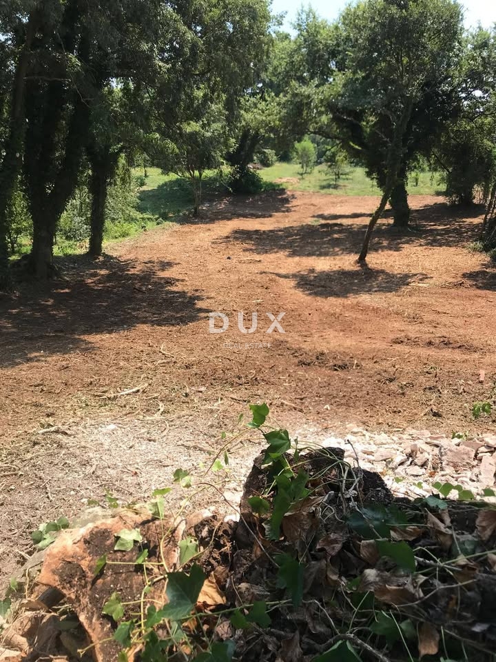 ISTRA, MARČANA - Zazidljivo zemljišče 1137 m2