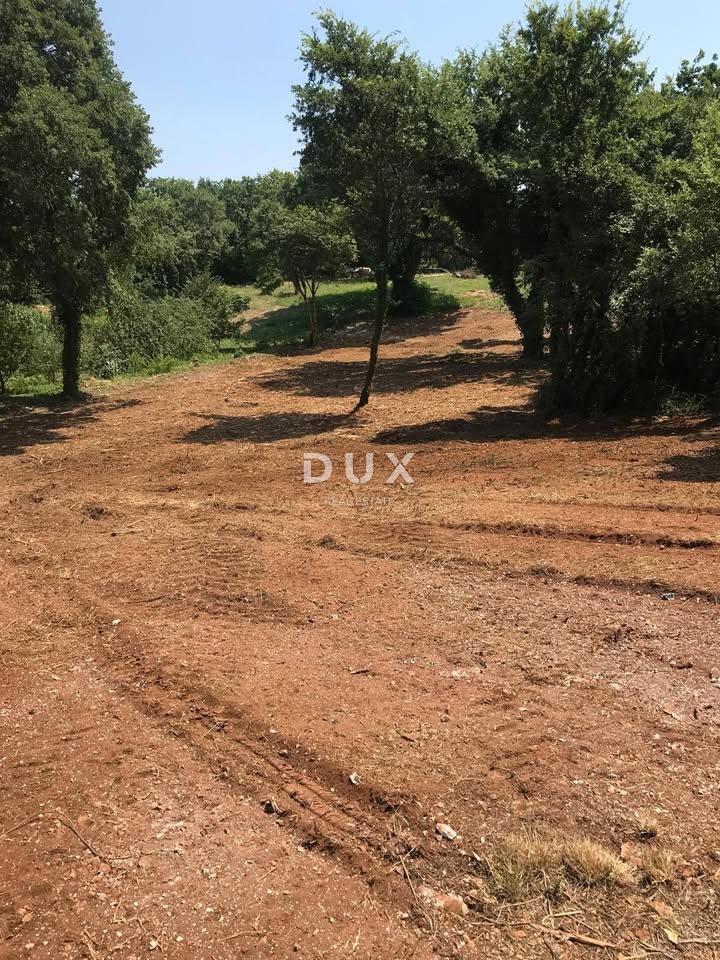 ISTRA, MARČANA - Zazidljivo zemljišče 1137 m2