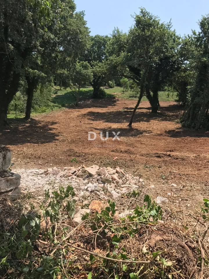 ISTRA, MARČANA - Zazidljivo zemljišče 1137 m2