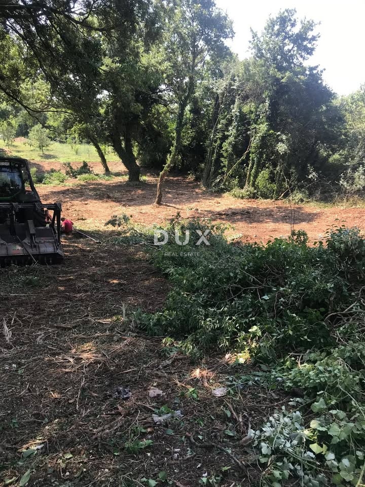 ISTRA, MARČANA - Zazidljivo zemljišče 1137 m2