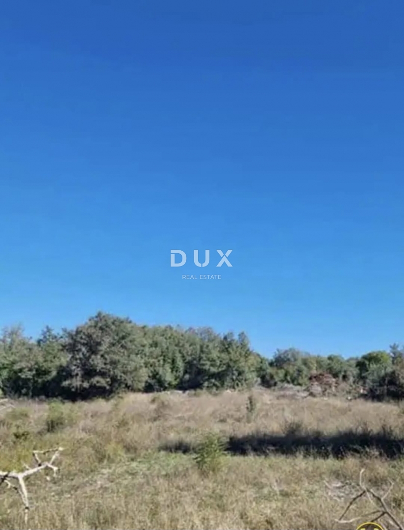 ISTRA, ROVINJ - Kmetijska zemljišča