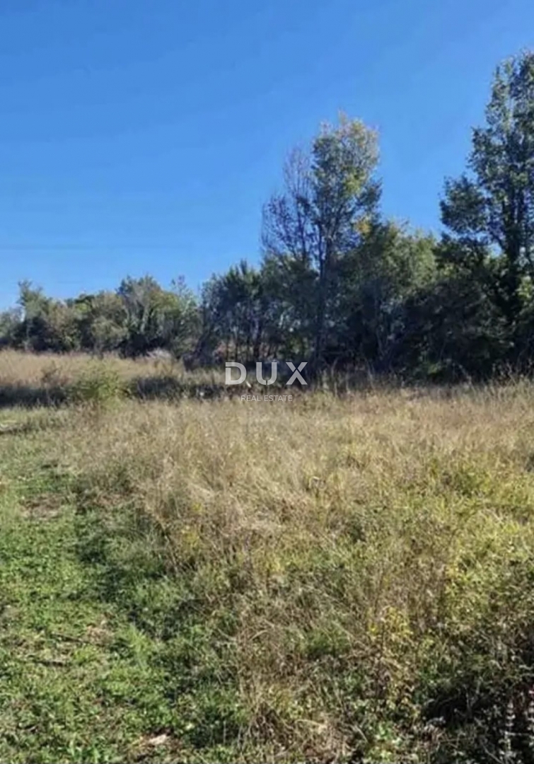 ISTRA, ROVINJ - Kmetijska zemljišča