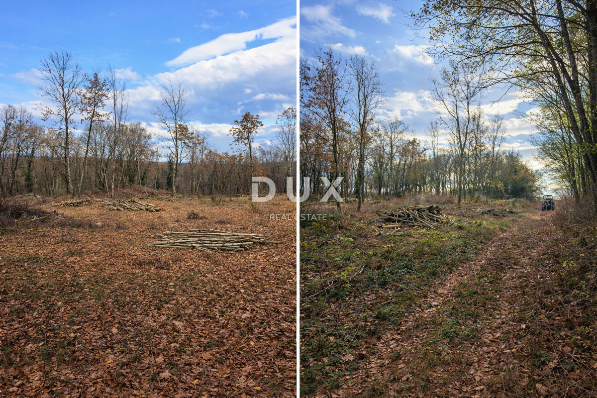 ISTRA, KRINGA - Čudovito gradbeno zemljišče