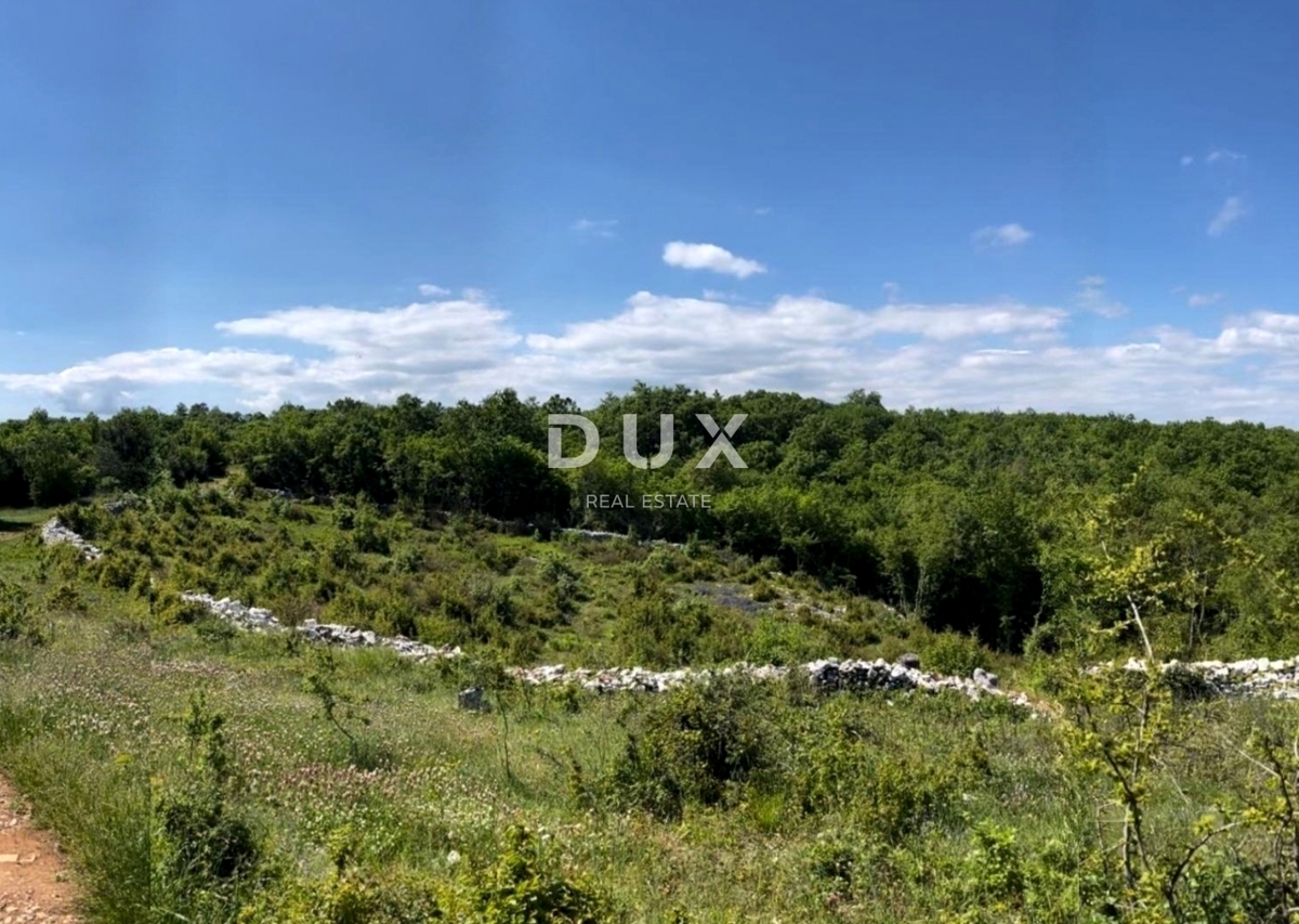 ISTRA, BARBAN - Prostorno zemljišče z gradbenim dovoljenjem