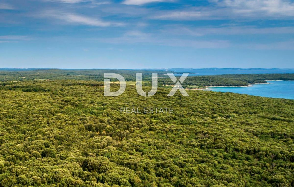 ISTRA, ROVINJ - Prostorna zemljišča