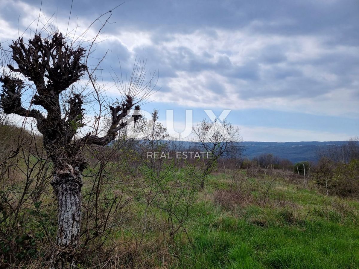 ISTRA, LABIN - Posestvo zavidanja vredne velikosti
