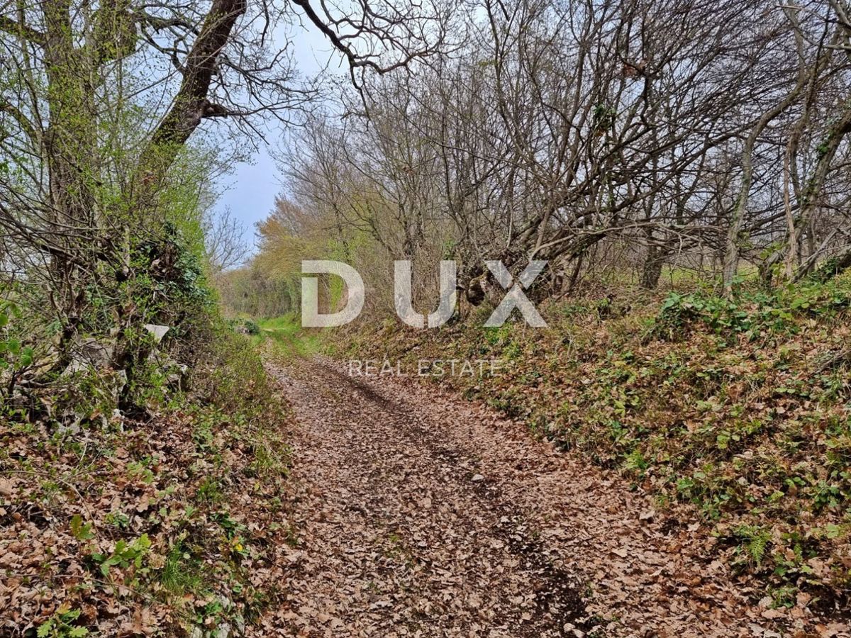 ISTRA, LABIN - Posestvo zavidanja vredne velikosti