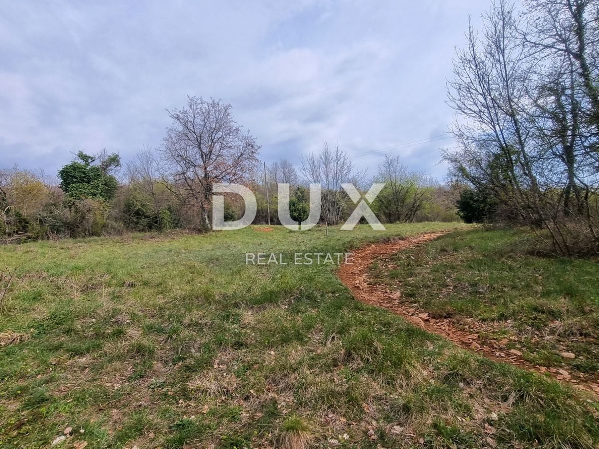 ISTRA, LABIN - Posestvo zavidanja vredne velikosti