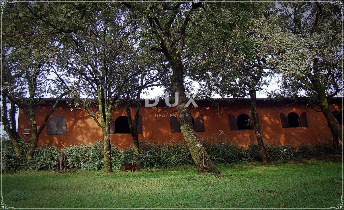 ISTRA, LIŽNJAN - Impresivno posestvo