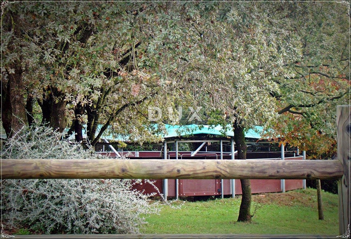 ISTRA, LIŽNJAN - Impresivno posestvo