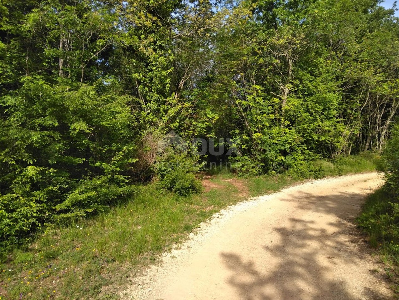 Zemljišče Sveti Ivan, Višnjan, 19.190m2