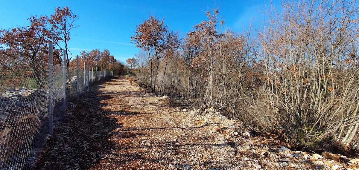 Smoljanci, Svetvinčenat, 27.093m2