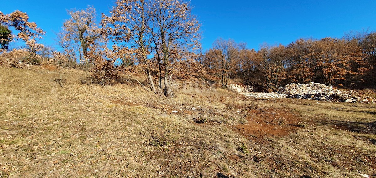 Smoljanci, Svetvinčenat, 27.093m2