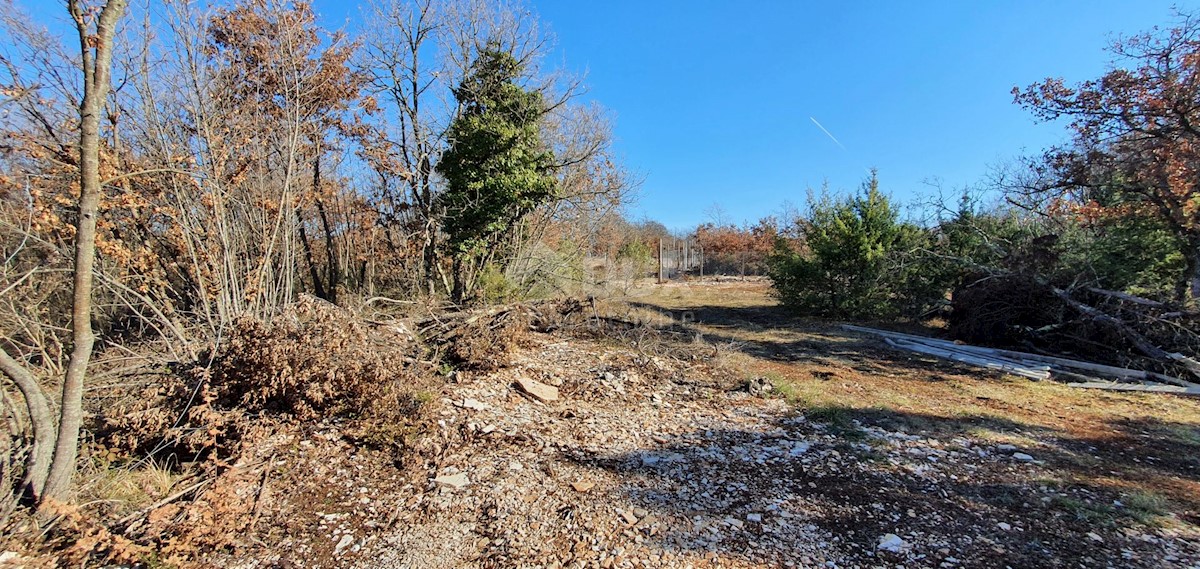 Smoljanci, Svetvinčenat, 27.093m2