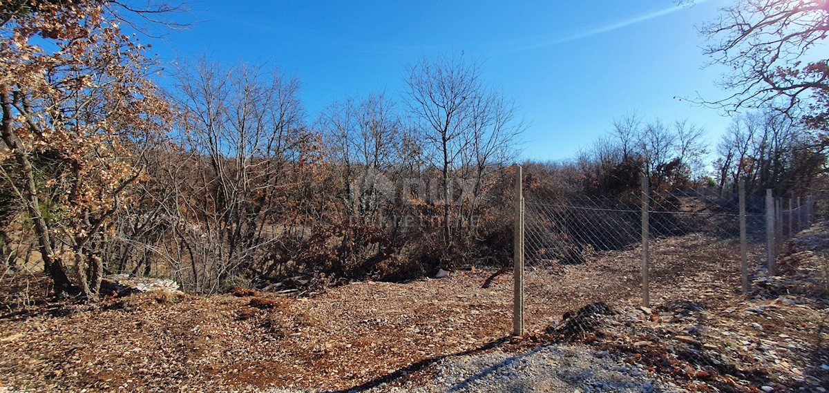 Smoljanci, Svetvinčenat, 27.093m2