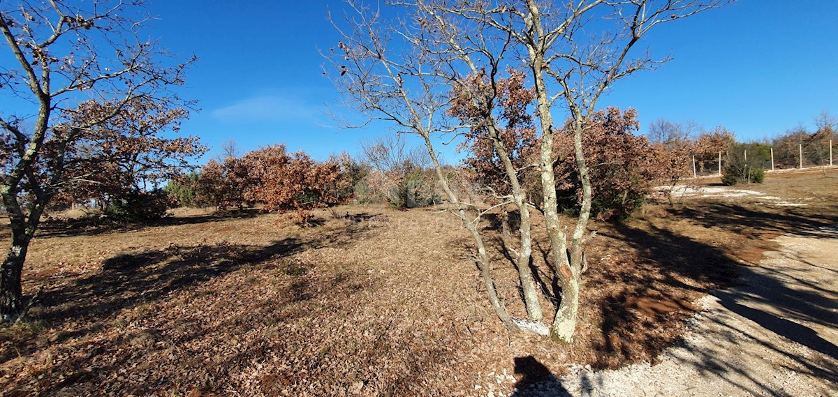 Smoljanci, Svetvinčenat, 27.093m2