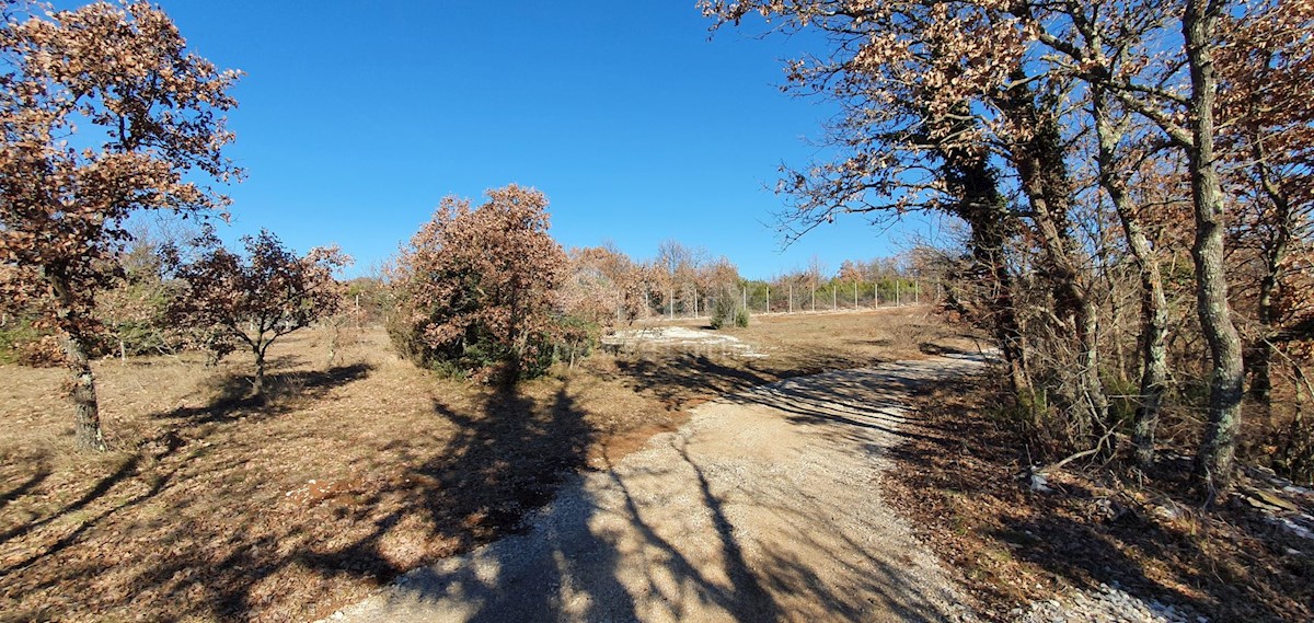 Smoljanci, Svetvinčenat, 27.093m2