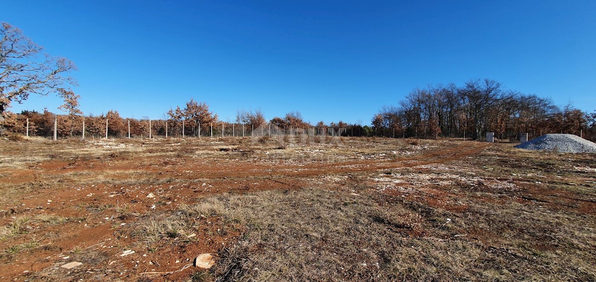 Smoljanci, Svetvinčenat, 27.093m2