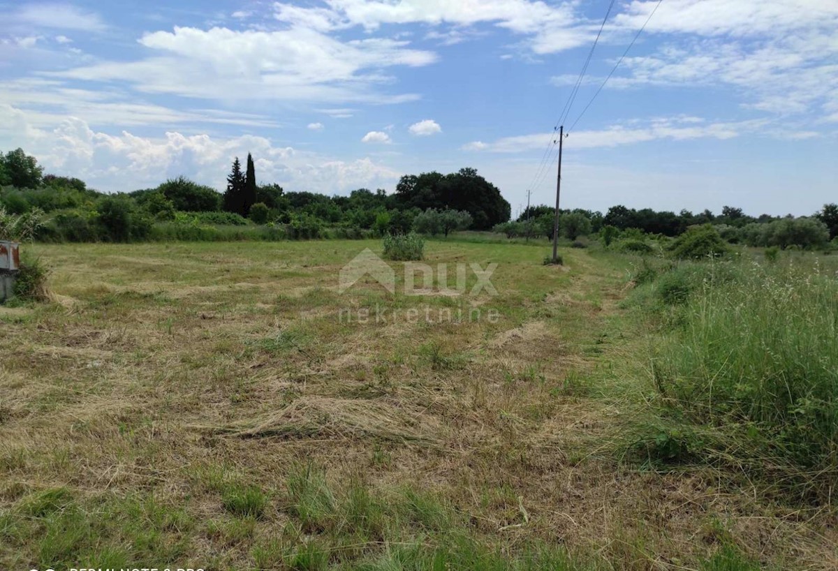 Zemljišče Katoro, Umag, 5.044m2