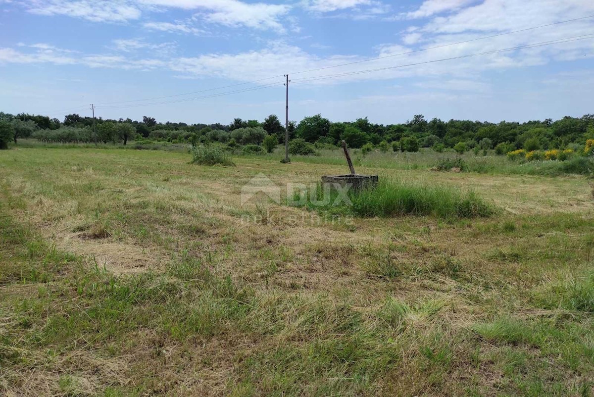 Zemljišče Katoro, Umag, 5.044m2