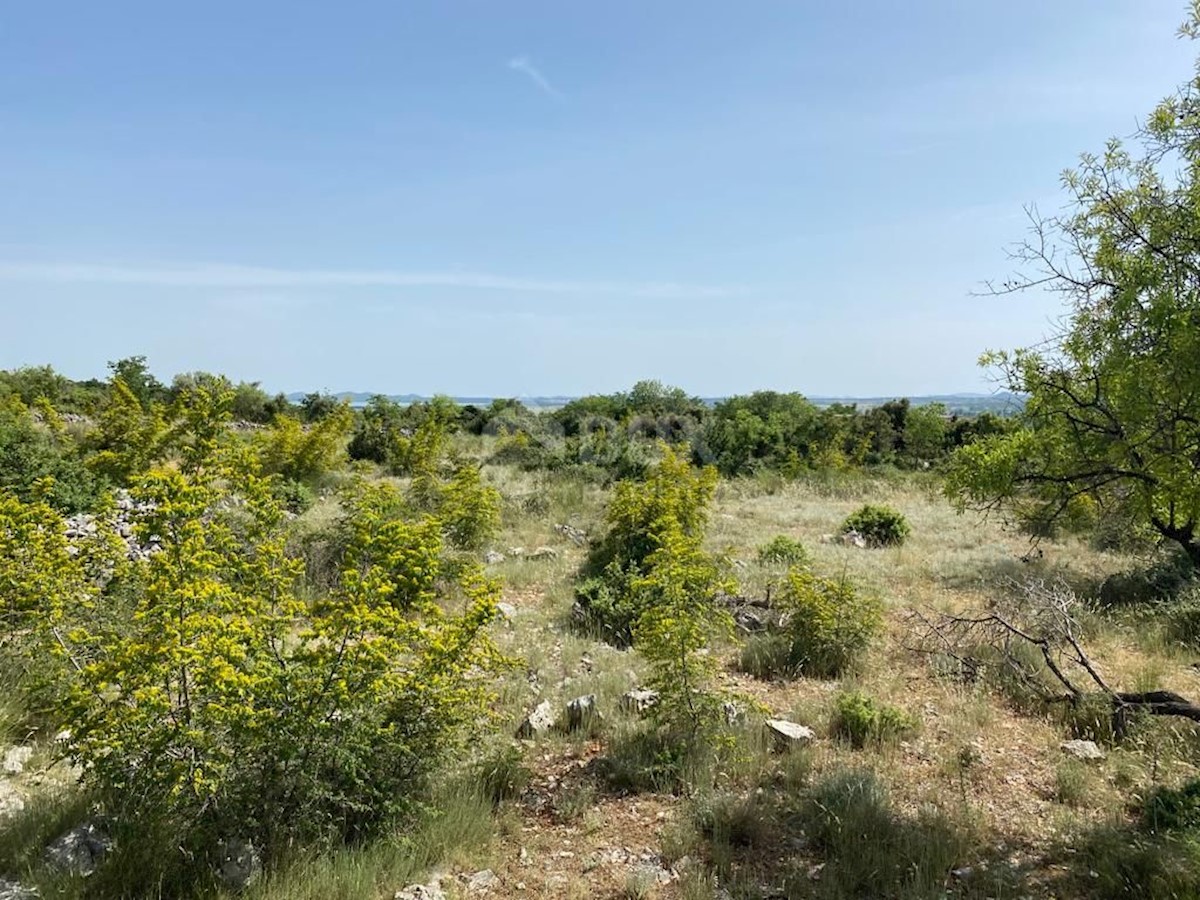 Polača, 6.150m2