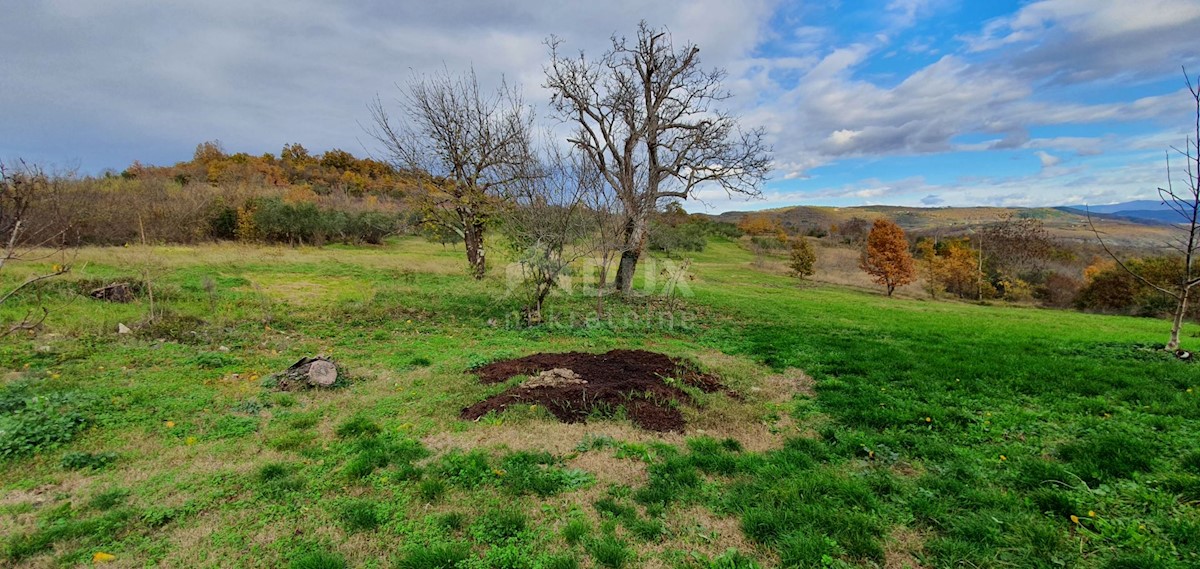 Grožnjan, 114.440m2