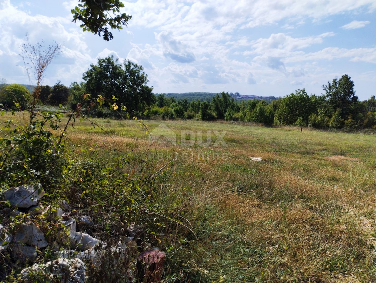 ISTRA, VIŠNJAN - Gradbeno zemljišče za gradnjo 3 vil