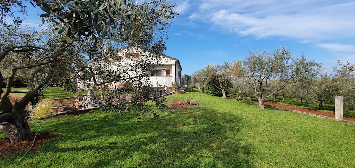 Čepljani, Umag, 258m2