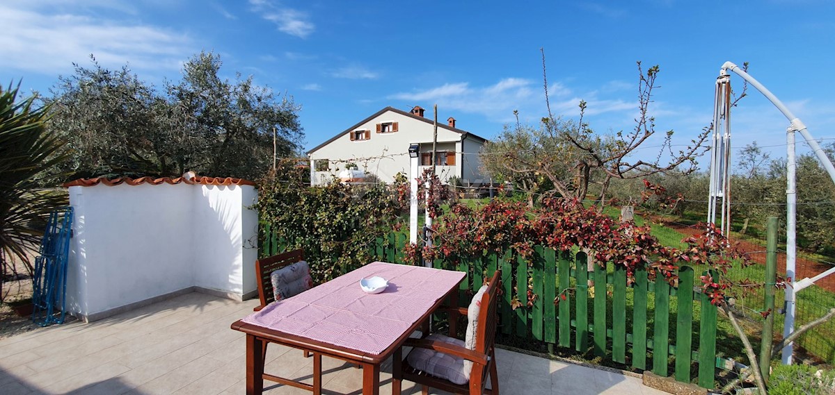 Čepljani, Umag, 258m2