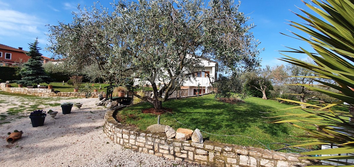 Čepljani, Umag, 258m2